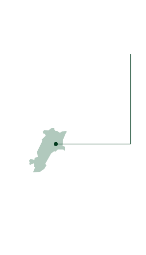 会社案内 | 三重県津市の丸栄木材。地域工務店・建設業者の用途に合った木材を製材。