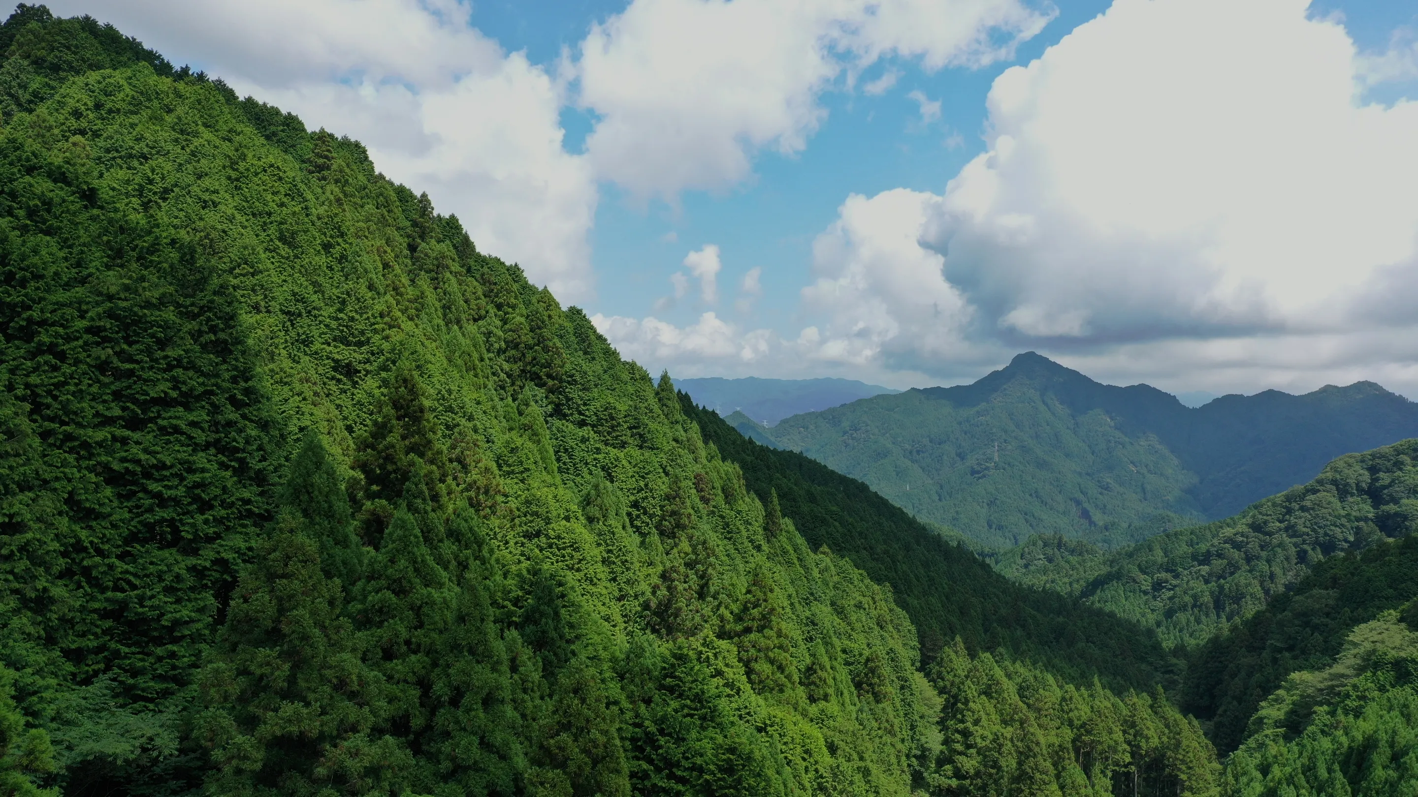 三重県津市の丸栄木材。地域工務店・建設業者の用途に合った木材を製材。