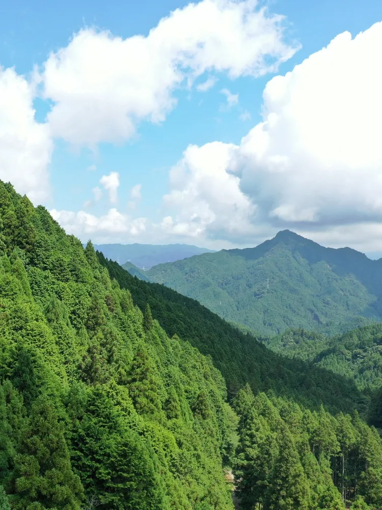 三重県津市の丸栄木材。地域工務店・建設業者の用途に合った木材を製材。